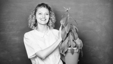 Çiçekçi kavramı. Botanik ve biyoloji dersi. Botanik uzmanı. Botanik eğitimi. Botanik bitkiler çiçekler ve otlar hakkında. Kadın tebeşir tahtası arka plan pota bitki taşımak. İyi bakım bitkileri alın