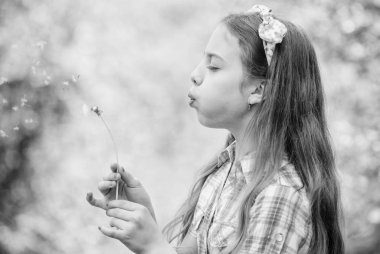 Karahindiba hakkındaki inançlar. Dilek tutan ve karahindiba doğası esintisi yapan bir kız. İnsanların neden karahindiba yediğini. Yazı kutluyoruz. Hayaller gerçek olur. Karahindiba tam sembolizm. Yaz eğlencesi