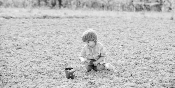 Tiempo divertido en la granja. Concepto de jardinería. Niño divirtiéndose con pala pequeña y planta en maceta. Plantando plántulas. Plantando en el campo. Pequeño ayudante en el jardín. Niño sentarse en el suelo plantando flor en el campo —  Fotos de Stock