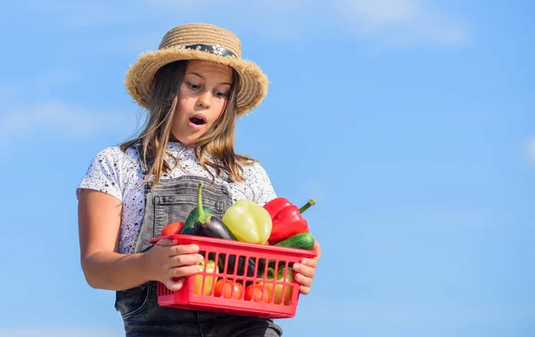 Doğru beslenme. Çocuk yaz çiftliğinde. Organik yiyecekler. hasat vitamini. Bahar pazarı bahçesi. Mutlu küçük çiftçi. Sonbahar hasadı. Çocuklar için sağlıklı yiyecekler. Sepette küçük bir sebze kız. Çok doğal. — Stok fotoğraf