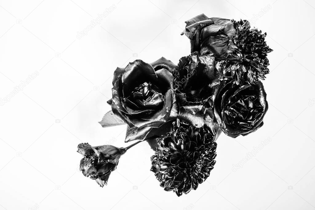 grunge beauty. Isolated on white. vintage retro. wealth and richness. floristics business. Glamour. metallized antique decor. silver black chrysanthemum rose flower. Flowers covered metallic paint.