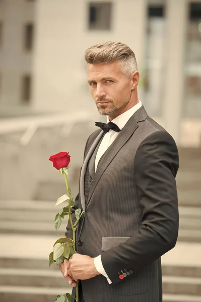 Make good first impression. Valentines day and anniversary. Handsome guy rose flower romantic date. Well groomed macho tailored suit. Romantic gentleman. Man mature confident macho with romantic gift — Stock Photo, Image
