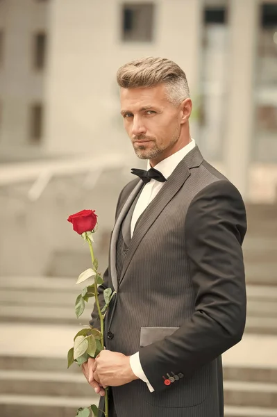 Fai buona prima impressione. San Valentino e anniversario. Bel ragazzo rosa fiore appuntamento romantico. Abito su misura macho ben curato. Un gentiluomo romantico. Uomo maturo macho fiducioso con regalo romantico — Foto Stock