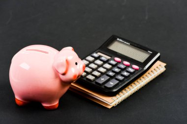 Piggy Bankası 'nın birikimleri. Banka ve muhasebe. Finansal yardım hizmetleri. Finansal destek danışmanlığı. Servetinizi yönetmek ve muhafaza etmek. Finansal okuryazarlık kursları. Mali rapor