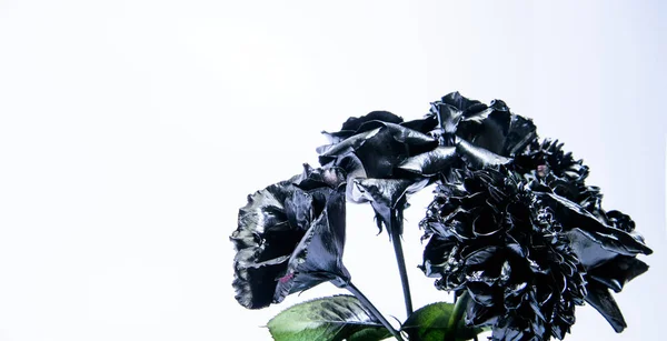 Metal flower. Abstract art. Eternal beauty. Fashion bouquet. Botany concept. Forging and sculpture. Beautiful black silver flower. Metallic steel color. Floral shop. Flower covered metallic paint — 스톡 사진