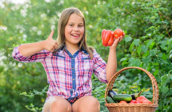 Zevkliymiş. Çocuklar için sağlıklı yiyecekler. hasat vitamini. Bahar pazarı bahçesi. Sepette küçük bir sebze kız. Çok doğal. Çocuk yaz çiftliğinde. Organik yiyecekler. Mutlu küçük çiftçi. Sonbahar hasadı — Stok fotoğraf