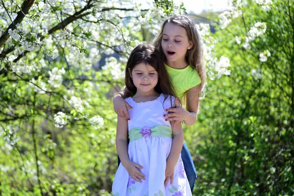 Las hermanas caminan afuera cerca de árboles blancos florecientes. Los niños posan juntos —  Fotos de Stock
