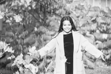 Sonbahar sıcağı. Yaprak düştü. Sonbahar parkında yürüyen sonbahar montlu şık bir kız. Düşen yapraklar. Sonbahar doğası. Küçük mutlu çocuk yapraklarla oynuyor. Güneşli bir günde parkta yürüyen bir kız. Anın tadını çıkar