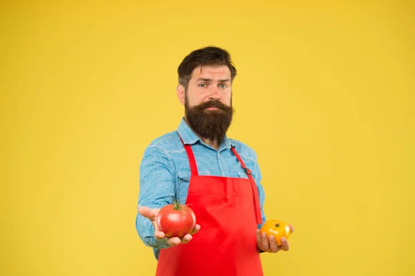 Selling homegrown ripe vegetables. Tomato diet. Salesman with tomatoes. Bearded man hold tomato in hands. Tomato salsa or ketchup. Healthy cooking and eating. Farm market concept. Organic crops — 스톡 사진