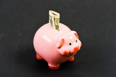 Piggy Bank 'ın pembe domuzu bir dolarlık banknot parası doldurmuş. Para biriktir. Kredi konsepti. Tasarruf. Banka hesabı. Maaş kazan. Para bütçe planlaması. Finansal refah. Ekonomi ve finans