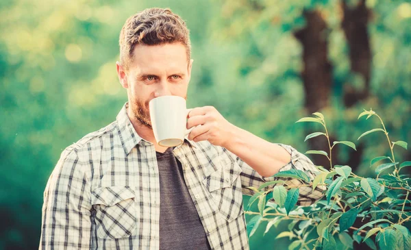 Chá de folha inteira. Excelente gosto. Aproveite a bebida quente. Bebida natural. Estilo de vida saudável. Prefiro chá verde. Bebida refrescante. Homem barbudo chá agricultor segurar caneca fundo da natureza. Plantação de chá verde — Fotografia de Stock