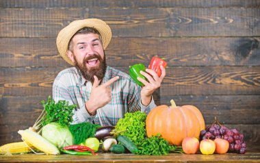 Kendi hasadı. hasat festivali. sakallı olgun çiftçi. organik ve doğal gıda. Cadılar Bayramınız Kutlu Olsun. mevsimlik vitamin gıda. Yararlı meyve ve sebze. zengin sonbahar mahsulü ile adam şef