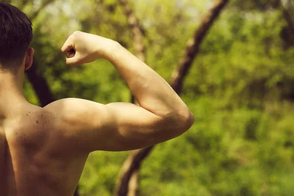 Sportovec ukazuje svaly: biceps, triceps a zpět na zelené — Stock fotografie