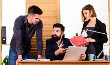 Erkek meslektaşlarıyla çalışan çekici bir kadın. Ofis kolektif konsepti. İş arkadaşları iş meselelerini çözmekle ilgili iletişim kurarlar. Birlikte çalışmak. Çalışma süreci. İş toplantısı. Kadın küçük azınlık
