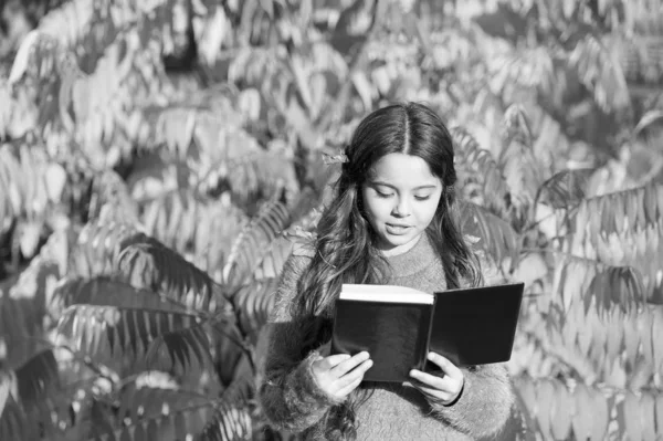 继续学习。秋天的一天，小女孩读书。小孩子喜欢阅读秋天的树叶背景.小孩子喜欢在秋天的公园里学习.孩子在看书。秋季文学概念 — 图库照片