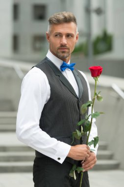 Rose 'u elinde tutan gerçek bir centilmen. Sevgilim olur musun? Kadınlar günü konsepti. Gül çiçekli adam. Kırmızı gül tutan resmi giysili bir adam. Papyon tak. Erkekler kulübü akşamı. Katılmak için şık bir ortam.