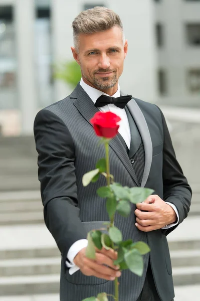 他的样子非常前卫。穿着服装，打着领结的新郎。男人送你玫瑰送红玫瑰的理由。在哪里穿燕尾服。给我的情人节礼物我爱你，亲爱的。先生在结婚周年之际献上玫瑰 — 图库照片