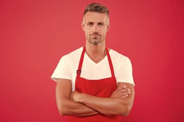 Sağlıklı bir şekilde yemek pişirmek. Ev sahibi. Ev işi yapıyorum. Ev yemekleri. Izgara partisi. Yetenekli ve kendinden emin. Cook önlük giyiyor. Kırmızı önlüklü sakallı olgun adam. Pişirme önlük olgun adam