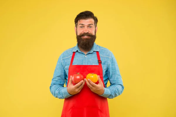 Organic food diet. health benefits of tomato. dietary source of vitamins and minerals. brutal cook in apron. vegetable eating tips. bearded man chef with tomato. healthy food cooking — 스톡 사진