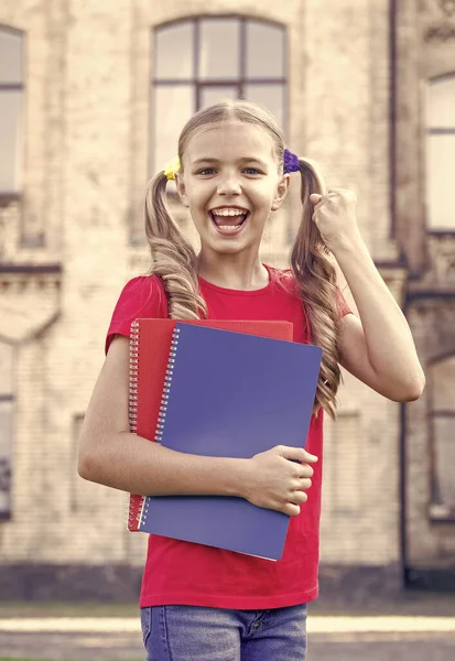 Raggiungere standard elevati. Carino il piccolo topo di biblioteca. Una studentessa. Studente della scuola secondaria. Il concetto di istruzione scolastica. carino sorridente piccolo bambino tenere libri istituzione educativa sfondo — Foto Stock