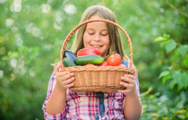 Sağlıklı ev yemeği konsepti. Sağlıklı beslen. Yaz hasadı konsepti. Gmo serbest. Çocuk sebze topluyor. Çevre tarımı. Sağlıklı bir hayat yaşayan tatlı, gülümseyen bir çocuk. Sağlıklı yaşam tarzı