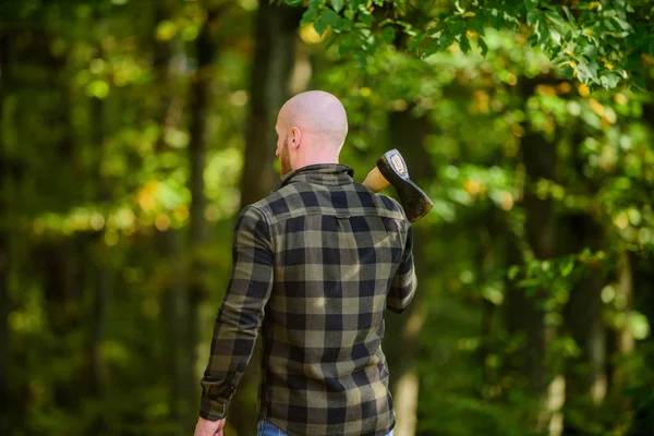 Hike vacation. Hike in forest. Forest care. Determination of human spirit. Man checkered shirt use axe. Brutal male in forest. Power and strength. Lumberjack carry ax. Bald woodsman. Harvest firewood