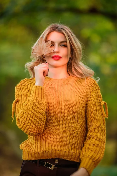 Прогулянка в осінній парк. Дивовижна дівчина носить в'язаний светр. Стиль це все про баланс. Модний одяг. Жінка носить теплий светр природному фоні, осквернений. Чудова дама відчуває себе затишно у вовняному светрі — стокове фото