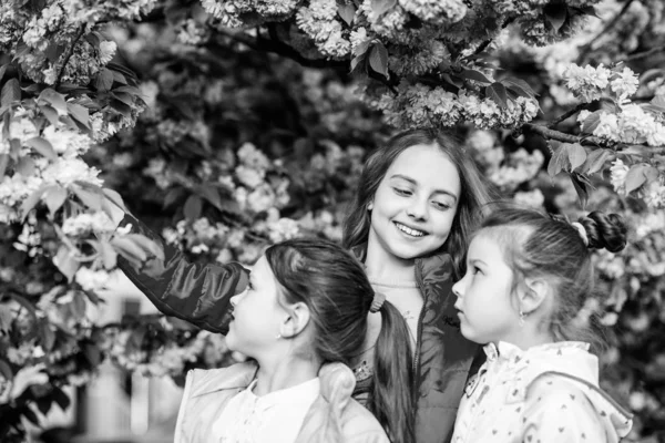 Bloemen Tender Bloom. Kinderen genieten van kersenbloesem. Ware vriendschap. Pink onze favoriet. Kinderen voorjaar tuin. Sakura Garden. Zusters vrienden sakura bomen achtergrond. Kids roze bloemen van Sakura boom — Stockfoto