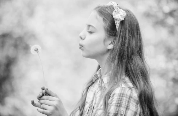 Álmok valóra. Dandelion teljes szimbolizmus. Nyáron szórakoztató. Hiedelmek gyermekláncfű. Lány a kívánságát, és fúj gyermekláncfű természet háttérben. Amiért az emberek szeretnének pitypang. Ünneplése nyár — Stock Fotó