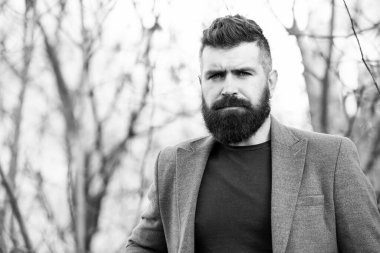 Modern vahşiler için iyi bir bakım. Vahşi sakallı, sakallı bir adam. Hippi uzun sakal ve bıyık takar. Çağdaş iş adamının oduncu görünüşü. Acımasız ve sakallı. Berber Dükkanı