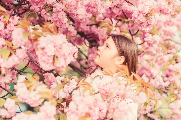 嗅花。摆脱季节性过敏。女孩享受花香。花粉过敏概念。孩子在粉红色的花樱花树背景。过敏疗法。儿童享受没有过敏的生活 — 图库照片