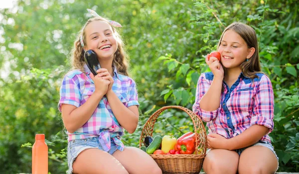 Colheita orgânica. Mercado agrícola. A vender comida caseira. Meninas crianças bonitos agricultura. Crianças colhendo vegetais natureza fundo. Conceito de colheita de verão. Colheita natural. Feliz jardim irmãs — Fotografia de Stock