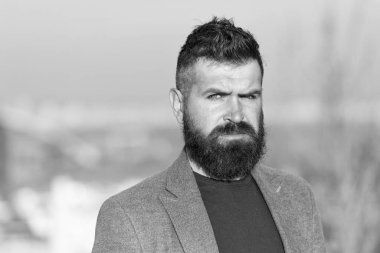 Hippi, uzun sakallı yakışıklı, çekici bir adam. Berber kuaför salonu. Uzun sakallı bir adam. Taze saç kesimi. Bıyıklı, mavi gökyüzü geçmişi olan sakallı bir hippi. Sakal tımar rehberi