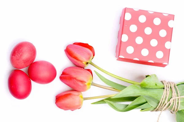 Tulipanes en color rosa o rojo aislados sobre fondo blanco. — Foto de Stock