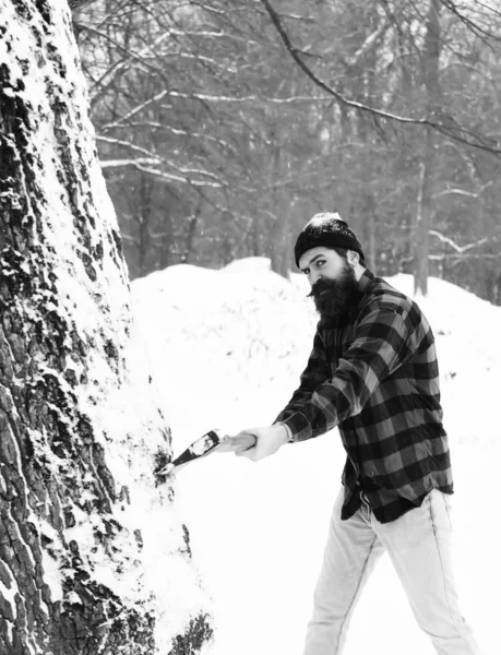 Hombre guapo leñador corta árbol en el día de invierno al aire libre sobre fondo natural — Foto de Stock