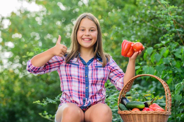 Çocuk sebze topluyor. Sağlıklı ev yemeği konsepti. Sağlıklı beslen. Yaz hasadı konsepti. Gmo serbest. Çevre tarımı. Sağlıklı bir hayat yaşayan tatlı, gülümseyen bir çocuk. Sağlıklı yaşam tarzı — Stok fotoğraf