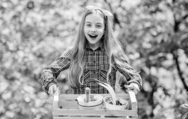 Bitkilerle çalışmak. Yaz çiftliği. Mutlu bir çocukluk. bahar köyü ülkesi. Ekoloji ortamı. Mutlu çocuklar günü. Bahçıvanlık aletleri olan küçük bir kız. Toprak günü. Ormandaki küçük kız