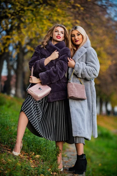 Prachtige meisjes. Schoonheid en mode concept. Verschil tussen nep en echt bont. Visuele esthetiek. Voordelen die bont dragen. Vrouwen dragen bontjassen. Vallen outfit. Mooie dames die in warme kleren lopen — Stockfoto