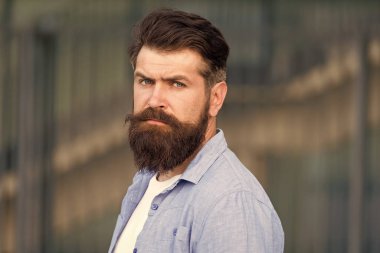 Sakallı adam yüz saçları tıraşsız. Berber dükkanı ve Kuaför. Erkeksi güzellik. Saç ipuçları Styling. Yüz saç ile kişisel stil oluşturun. Şık sakal ve bıyık kentsel arka plan ile hipster