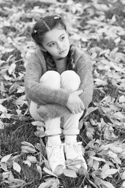 Átgondolt gyermekkori. Iskola idő. Boldog kis lány az őszi erdő. Őszi levelek és a természet. Trendi szépség. Kis gyerek, őszi levelekkel. A jó közérzethez. Nincs még az eső. Elveszett a gondolatok — Stock Fotó