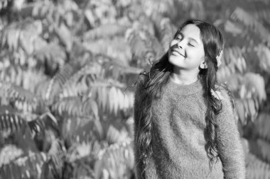 Parkta güneşli bir günde dinlenen bir kız. Sonbahar sıcağı. Sonbahar parkındaki zarif, güler yüzlü kız. Hint yaz dönemi mevsim normalleri dışında sıcak ve kurak. Sonbahar doğası. Dışarıda küçük mutlu bir çocuk. Güneşli hafta sonu