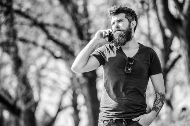 hipster adam akıllı telefon tutun. konuşma ve tartışma. cep telefonu ile acımasız işadamı. sakallı adam cep telefonuyla konuşuyor. Sakallı olgun hipster. iş konuşmak. parkta yürüyüş