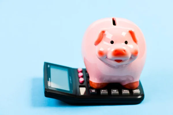 Investments concept. Piggy bank pig and calculator. Taxes and charges may vary. Helping make smart financial choices. Pay taxes. Taxes calculator. Accounting business. Piggy bank symbol money savings
