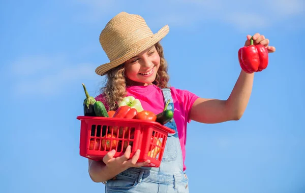 Food presentation. harvest vitamin. spring market garden. healthy food for children. little girl vegetable in basket. Only natural. little farmer. autumn harvest. kid on summer farm. Organic food — Stock Photo, Image