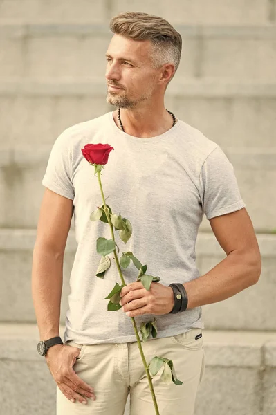 Маю сьогодні побачення. Красивий чоловік на побаченні. Бородатий чоловік тримає червону троянду на романтичне побачення. Дивовижне перше побачення — стокове фото
