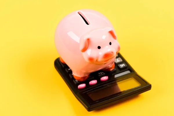 Want to pay. income capital management. moneybox with calculator. Piggy bank. planning and counting budget. money saving. Accounting and payroll. bookkeeping. financial problem — Stock Photo, Image