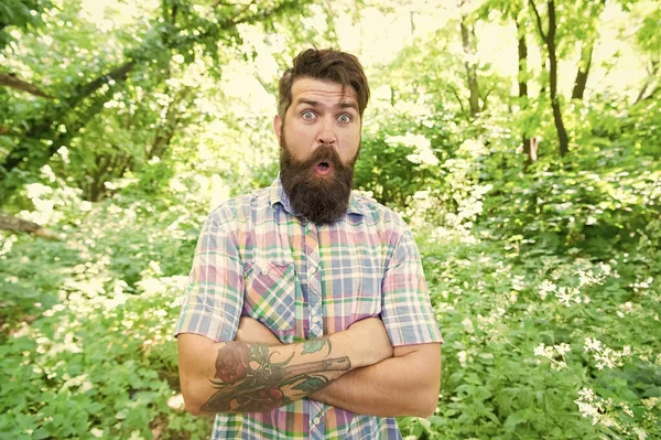 Emotionell naturälskare. Guy slappna av på sommaren natur. Man stilig skägg och mustasch i sommar skogen. Sommarsemester koncept. Förenat med miljö. Man skäggiga hipster gröna träd bakgrund — Stockfoto