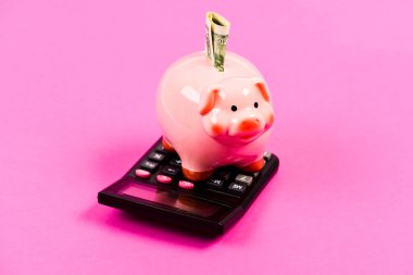 Tasarruf. Ekonomi ve finans. Finansal refah. Tasarruf hesabı. Tasarruf depozitosu tasarruf etmek için uygun esnek bir yoldur. Piggy Bank Pembe Domuz Dolarlık banknot ve hesap makinesi