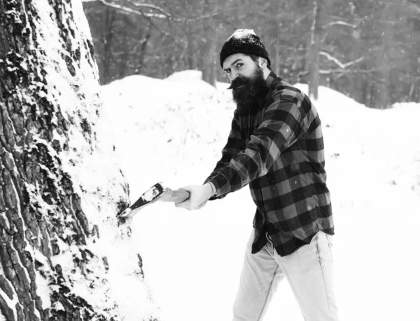 Hombre guapo leñador corta árbol sobre fondo natural —  Fotos de Stock