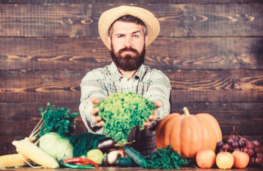 Sebze sat. Olgun sakallı çiftçi adam sebzeleri ahşap arka planda tutar. Yerel pazar. Yerel ürün konsepti. Yerel çiftlikten sebze al. Tipik çiftçi. Çiftlik pazarı hasat festivali